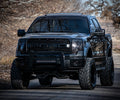 FORD F150 GEN 7 (09-14)