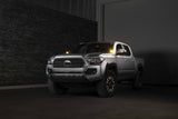Morimoto 2Banger Ditch Light Kit: 16-23 Tacoma