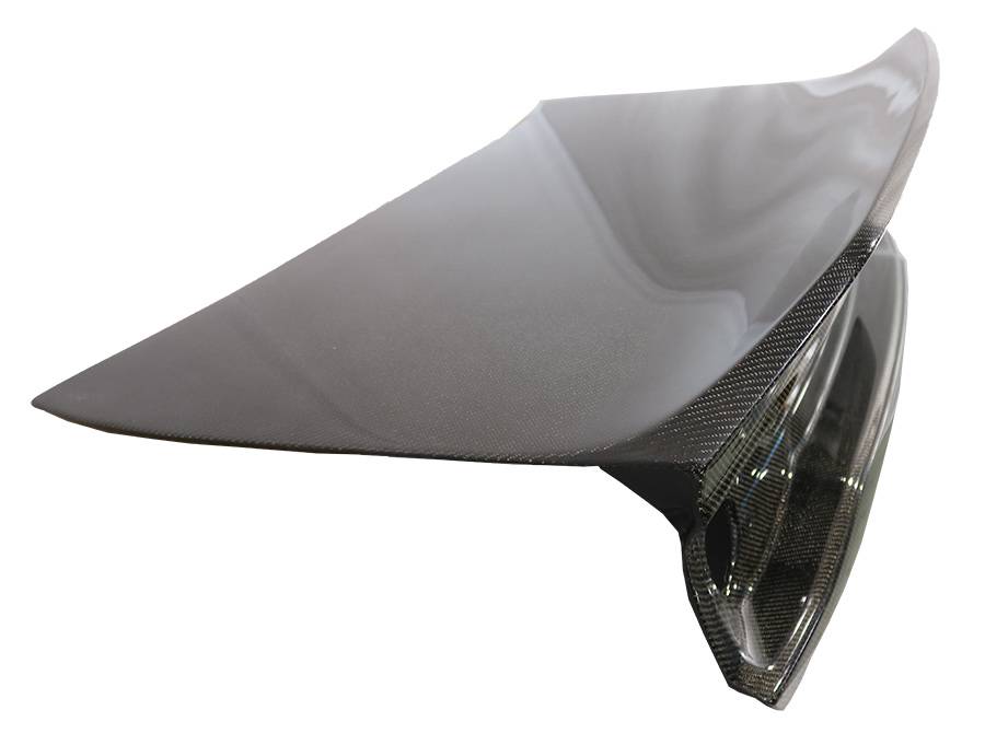 2011-2014 Dodge Charger 4 doors Carbon Fiber Black Trunk