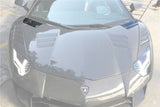 2011-2021 Lamborghini Aventador LP700 LP740 Coupe  Roadster OEM Style Carbon Fiber Front Hood Vent