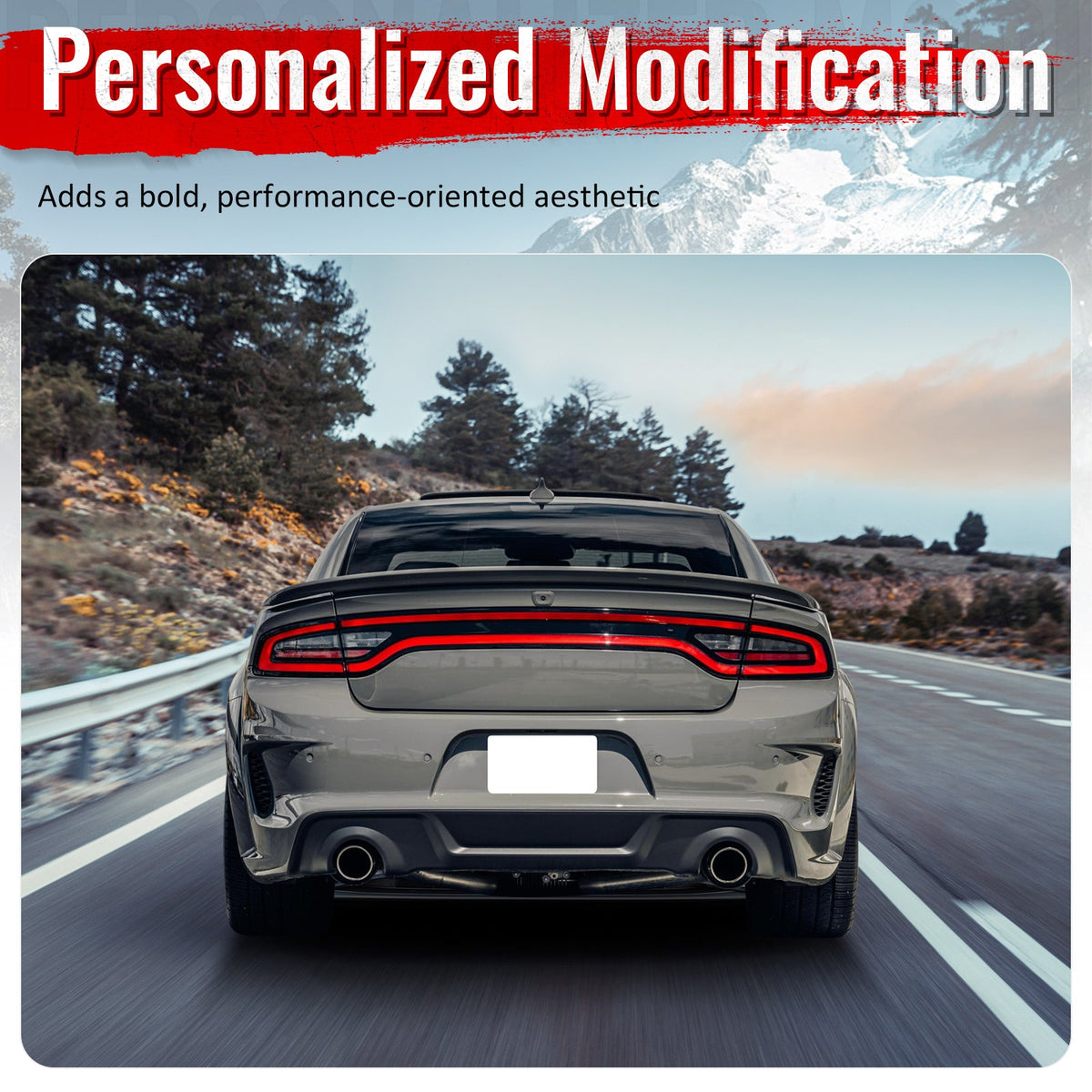 20-23 Dodge Charger Widebody Rear Diffuser OE Style Matte Black