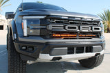 2024+ Ford Raptor ditch lights Gen 3 Refresh A-Pillars