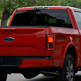 15-20 Ford F-150/17-20 F-250/F-350 LED 3rd Brake Light - Black