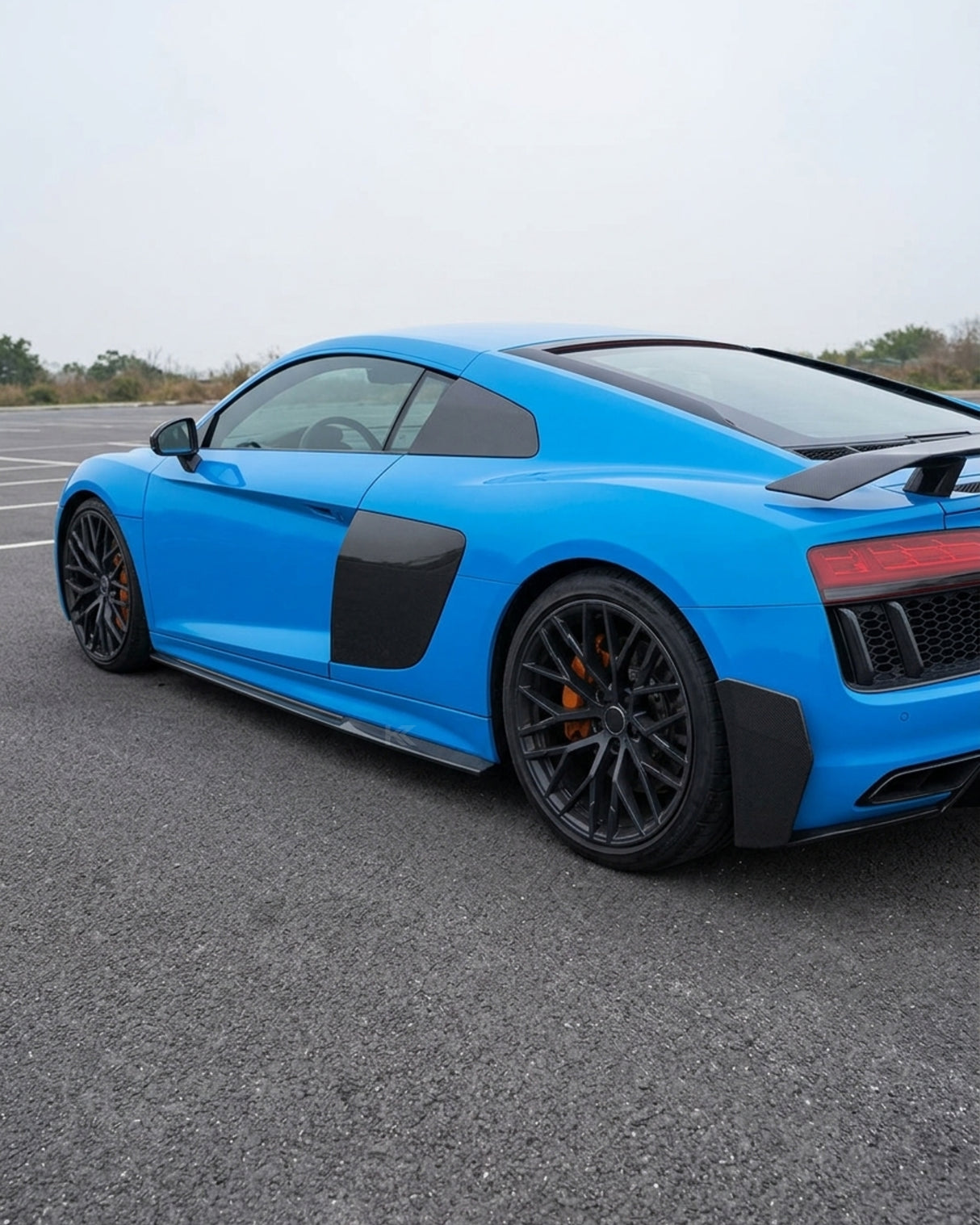 2016–2019 Audi R8 V10 & V10 Plus Coupe Side Skirts – Carbon Fiber