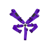 Racing Harness (Comp Spec/5-Point)