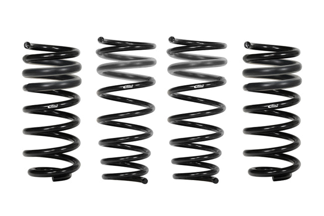 Lowering Springs