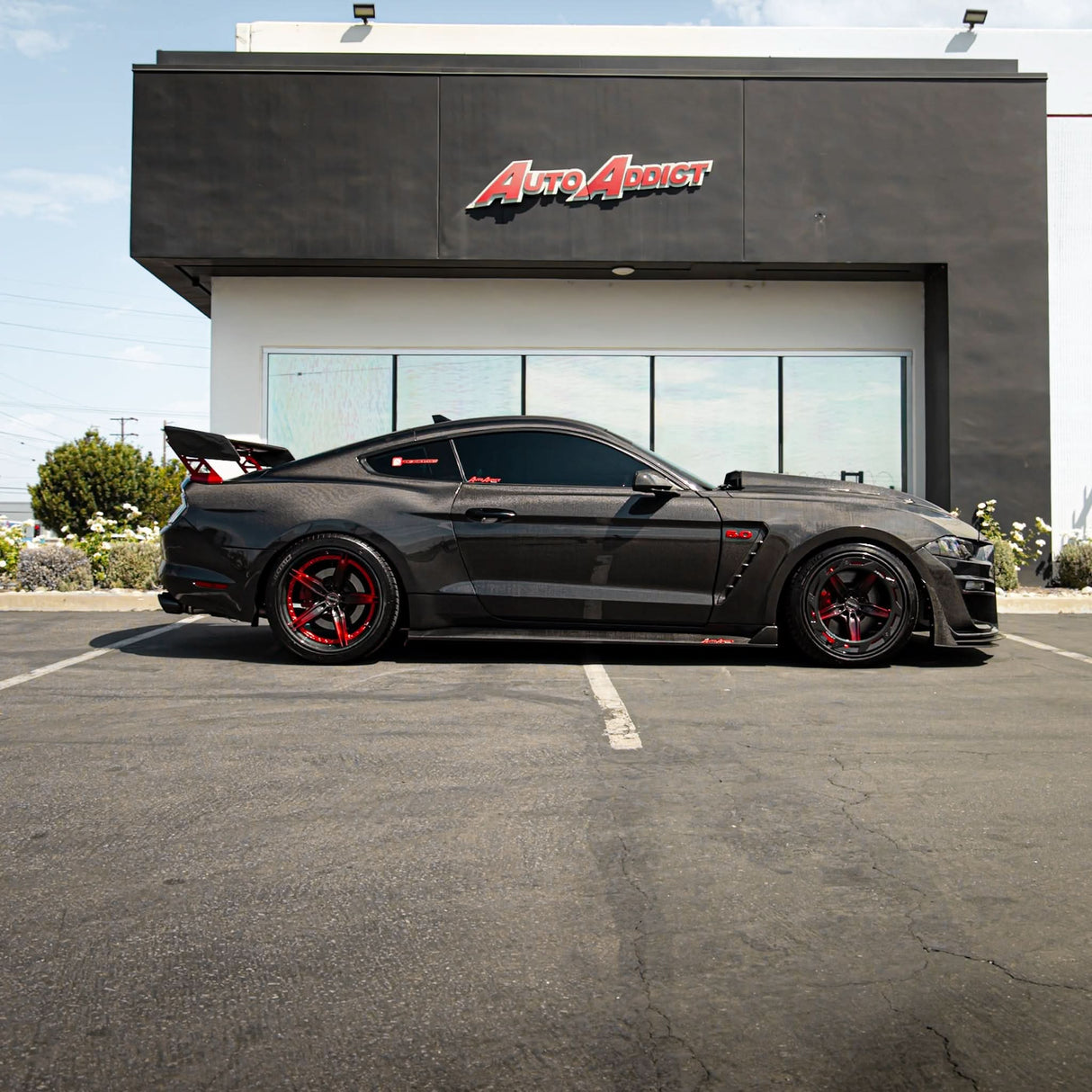 2018-2023 Mustang S550 GT/EcoBoost Track Package Carbon Fiber 13pcs Kit Combo