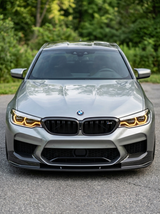 BMW 5 Series G30 Carbon Fiber Front Grille (2017+)