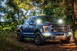 Morimoto 4Banger Ditch Light Kit: 17-20 Raptor