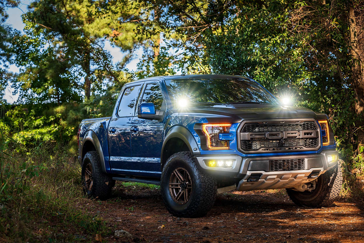 Morimoto 4Banger Ditch Light Kit: 17-20 Raptor