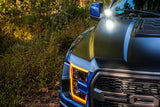 Morimoto 4Banger Ditch Light Kit: 17-20 Raptor