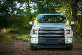 Morimoto 4Banger Ditch Light Kit: 17-20 Raptor