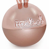 Rabbico Air Shine Angel Snow Rabbit Ear Vent Clip Air Freshener 2PC