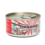 JDM Squash Scented Air Freshener - TreeFrog Organic 1.5oz Can