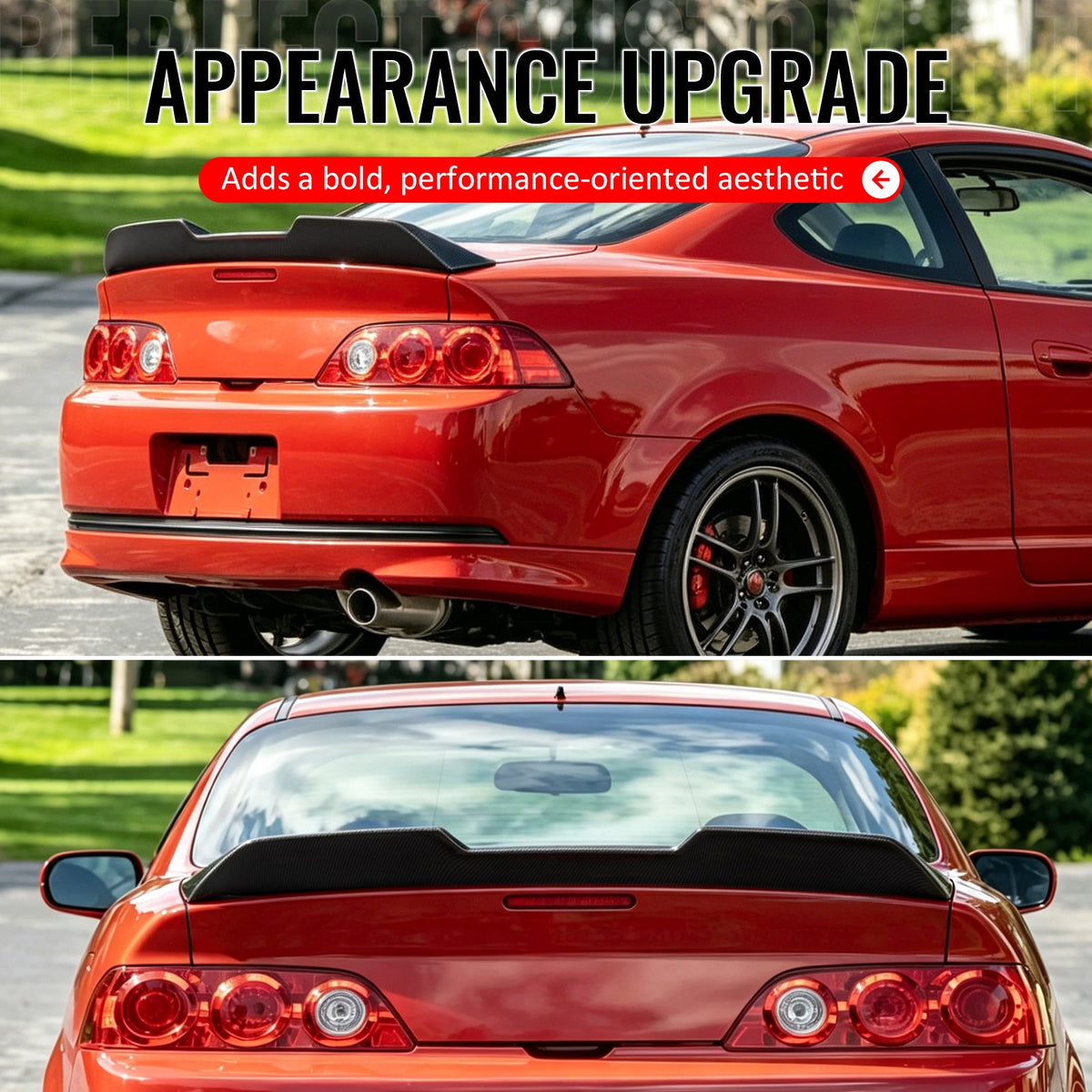 2002-2006 Acura RSX JDM Duckbill Rear Trunk Spoiler Wing Carbon Fiber Print ABS