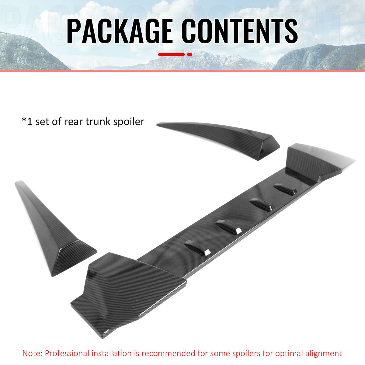 2006-2011 Honda Civic Type R Style Carbon Fiber Print Roof Spoiler ABS
