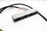 B Series OBD2A Subharness | 96-99 Integra