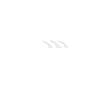 Raptor Emblem Claw Mark Inserts Fits 2022-2027 Ford Bronco Raptor