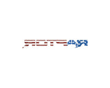 Raptor Third Brake Light Letter Inserts Fits 2022-2027 Ford Bronco Raptor