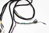 Honda Civic  Wiretuck Headlight/Front End Harness | 96-01 EK | USDM Headlights/ Blinkers