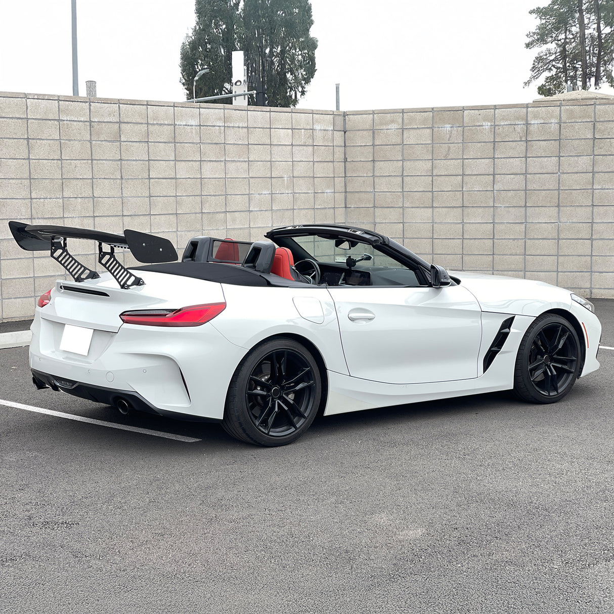 57'' 12" Height Drag Trunk Spoiler V2 Side Plates V3 Legs Carbon Fiber