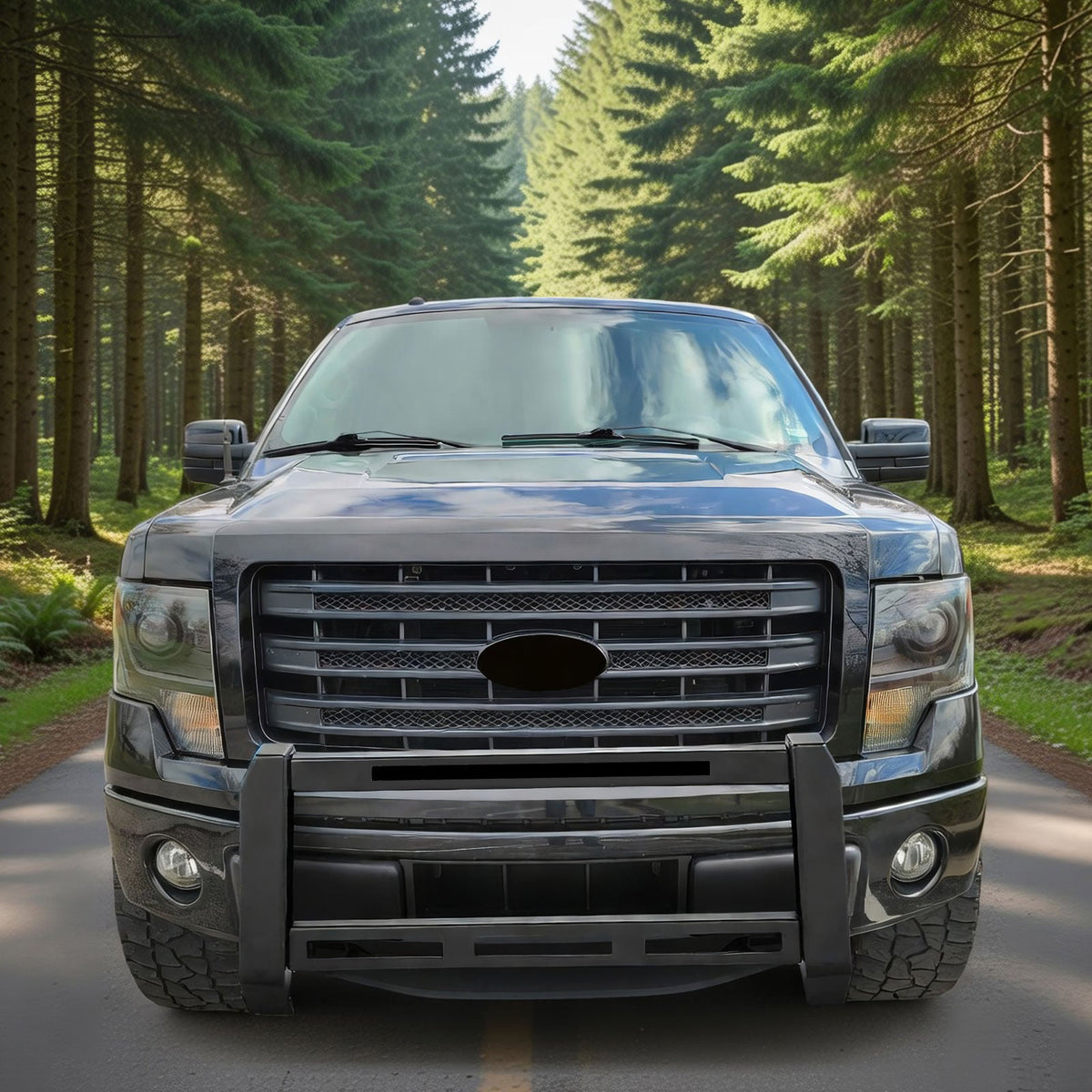 2009-2014 Ford F-150 Bull Bar Front Brush Bumper Grille Guard