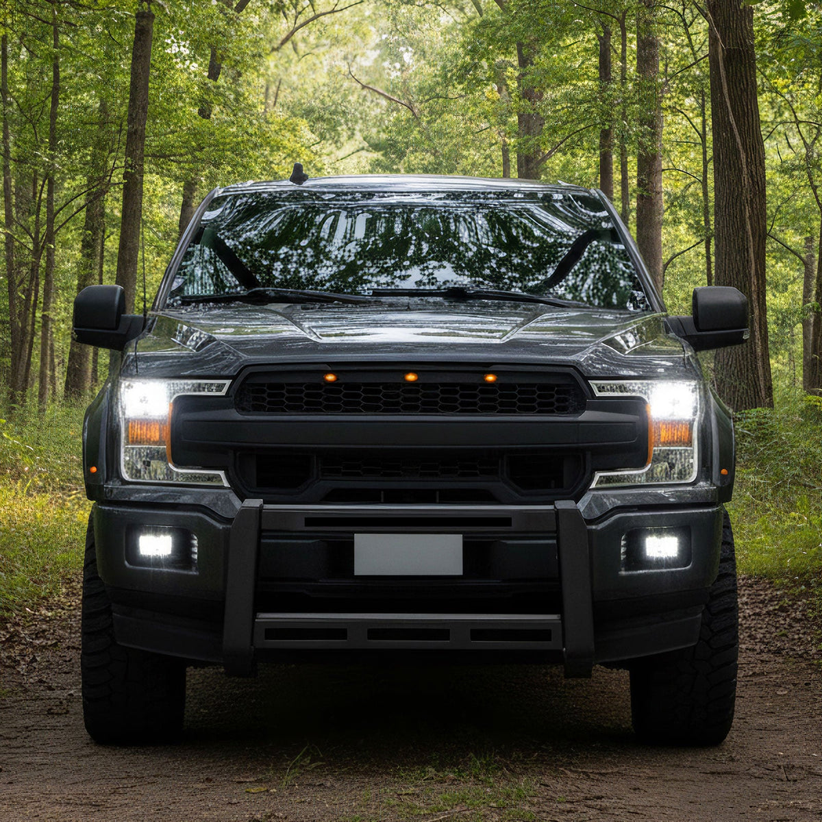 2015-2020 Ford F-150 Bull Bar Front Brush Bumper Grille Guard