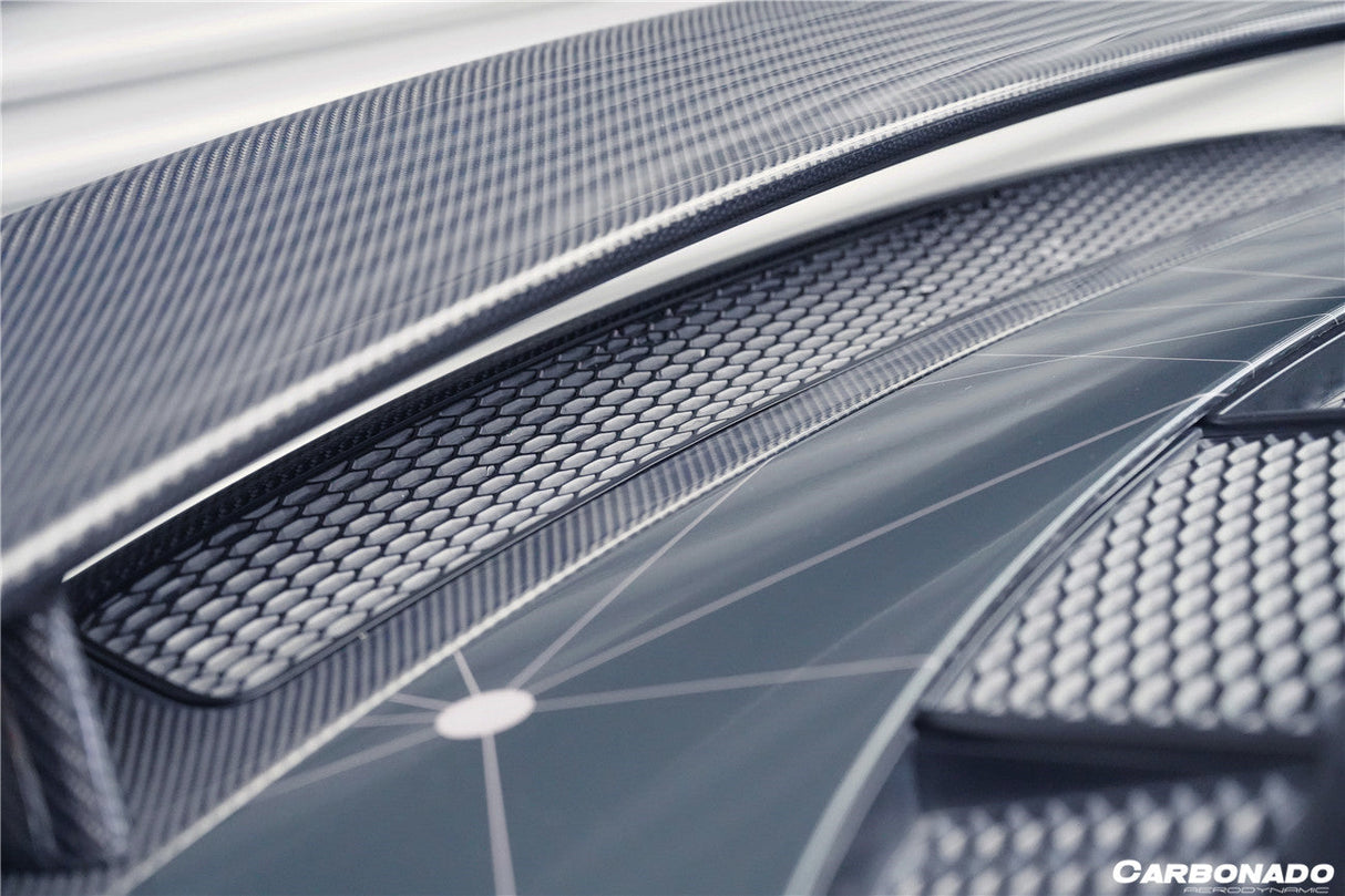 2016-2025 Audi R8 GEN2 Coupe ONLY GT Style Carbon Fiber Trunk Wing