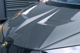 2015-2025 Lamborghini Huracan LP610  LP580  Evo  Tecnica VRS Style Carbon Fiber Hood