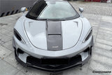 2020-2023 McLaren GT WP Style DRY Carbon Fiber Front Canards