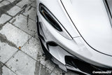 2020-2023 McLaren GT WP Style DRY Carbon Fiber Front Canards