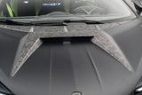 2024-UP Lamborghini Revuelto MSY Style Autoclave Carbon Fiber Hood