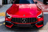 2019-2023 Mercedes Benz AMG GT63  S 4Door Coupe X290 OEM Style Carbon Fiber Front Canards