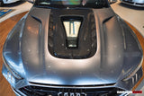 DarwinPRO 2019-UP Audi RS7 A7 S7 C8 Quattro IMP Performance Hood