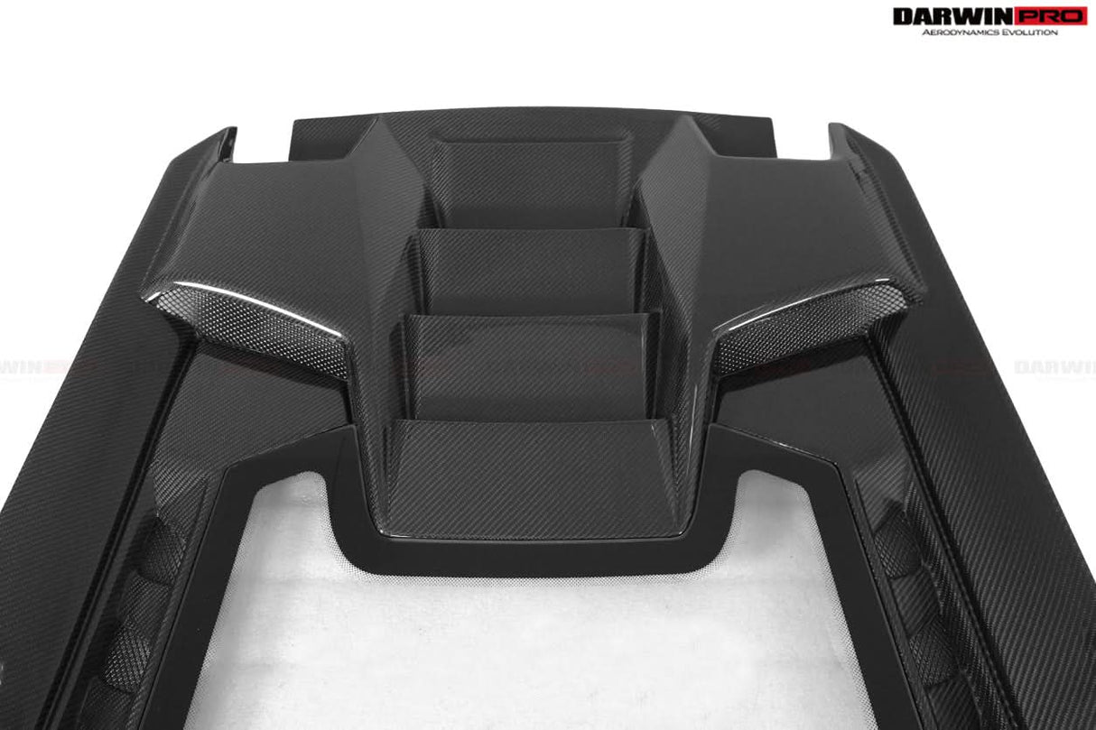 2015-2023 Lamborghini Huracan LP610 & LP580 & EVO Coupe Performante Style Carbon Fiber Spoiler Wing and Engine Hood