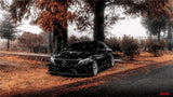 2015-2021 Mercedes Benz C63 C-Class Coupe IMP Performance Carbon Fiber Side Skirts