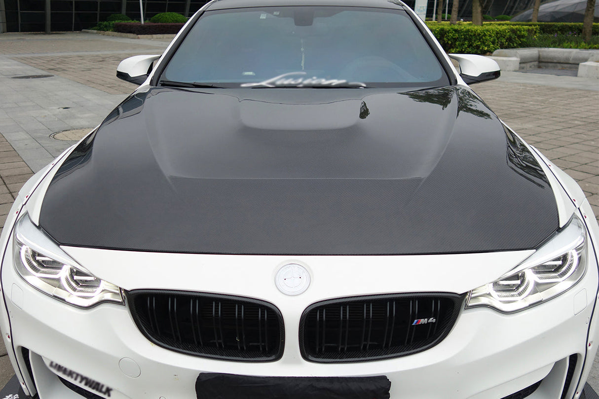 2014-2020 BMW M3 F80 | M4 F82 Carbon Fiber Hood - DarwinPRO GTS Design