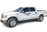 Stainless Steel Both Sides Truck Armor 2009-2014 Ford F-150 SuperCrew Cab IA06SAG7B