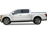 Stainless Steel Both Sides Running Board-H Series 2015-2026 Ford F-150 SuperCrew Cab\ 2022-2026 Ford F-150 Lightning SuperCrew Cab\ 2017-2026 Ford F-250/F-350 /F-450/F-550 Super Duty Crew Cab IB06RAG5H