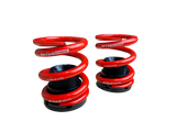 Race German Adjustable Rear Spring Perches (E30 E36 E46 Z3)