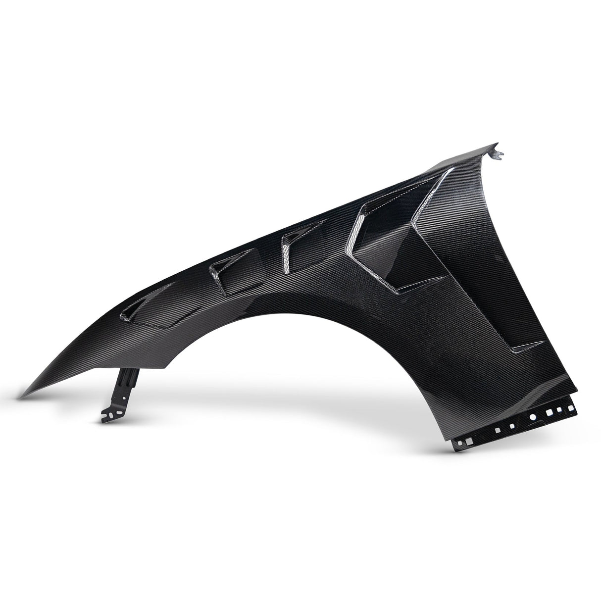 2024-2025 Mustang S650 Type-LM Gloss Carbon Fiber Fenders