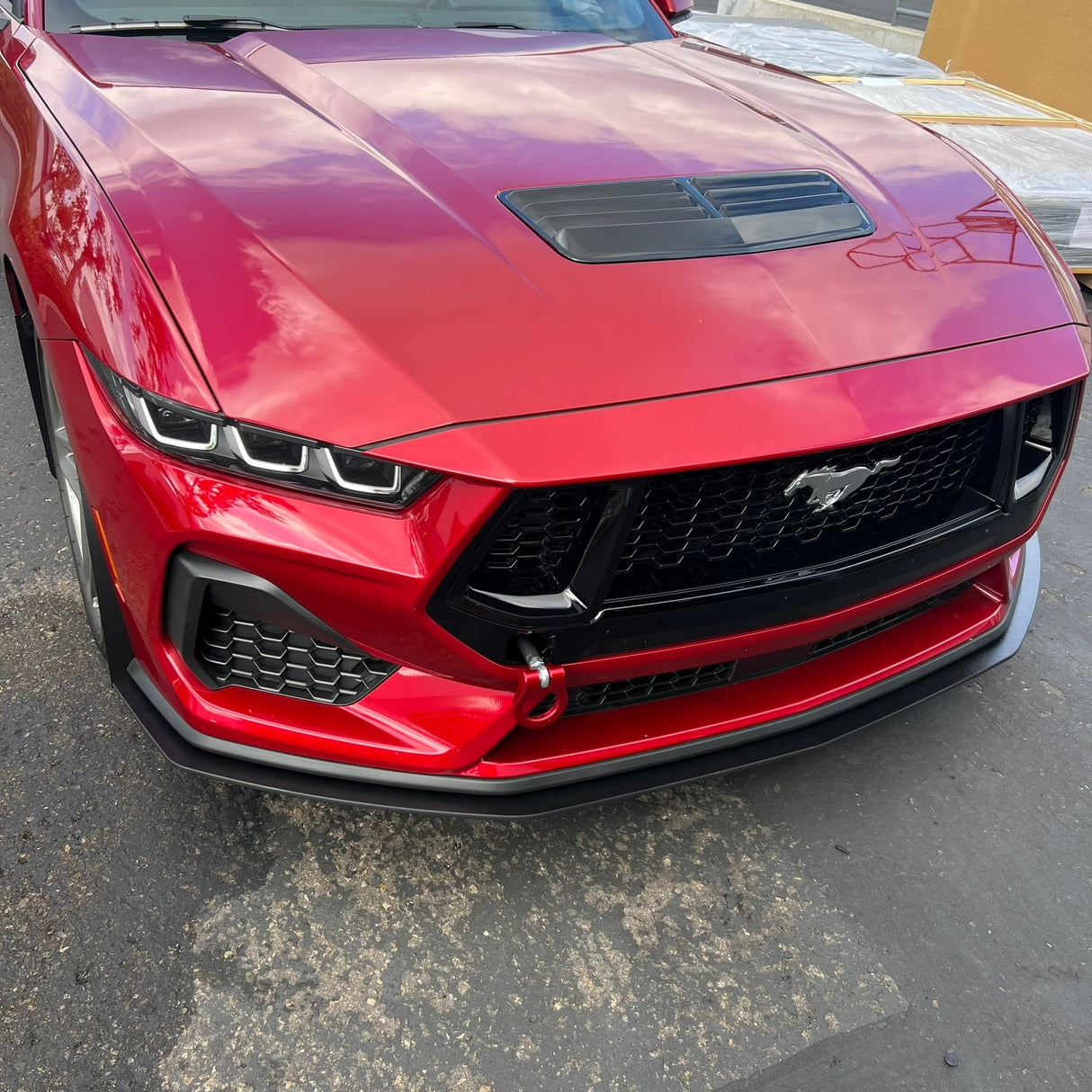 Mustang 24-25 GT/ECO Standard Body Kit
