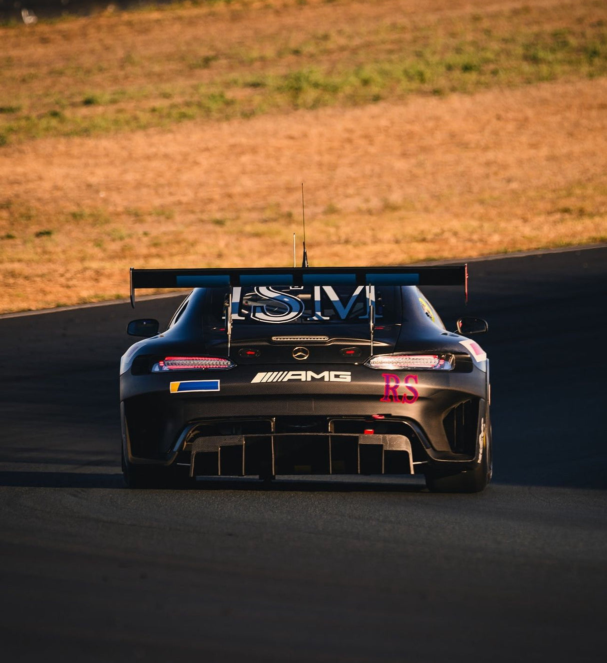 Custom AMG GT Tail Lights Clear Brand New