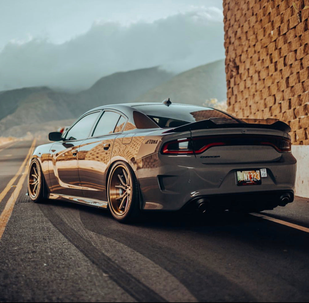 Charger 15-23 SRT Stealth Wicker Bill