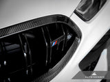 AutoTecknic Replacement Dry Carbon Grille Surround - F9X M8