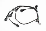 RB25DET Audi R8 VAG Smart Ignition Coil Harness S1 (Series 1)