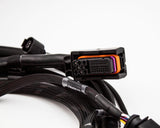 OEM+ 1.8T 40 Pin Complete Engine Harness Narrowband/Wideband ECU's | VW Audi Seat Skoda MK4