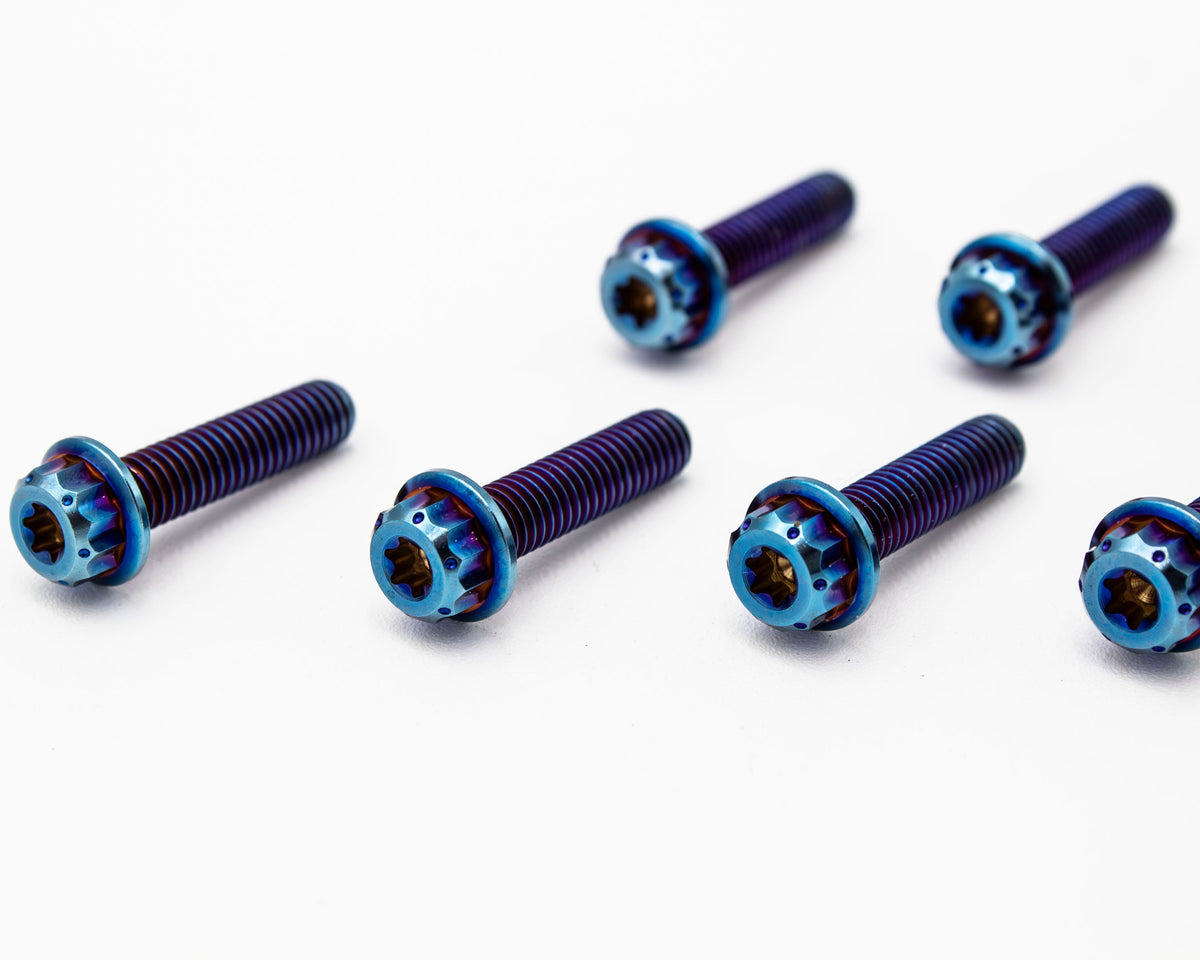 Burnt Titanium Intake Manifold Bolt Kit 12PT – M6 – VW / AUDI 1.8T - 10 pcs