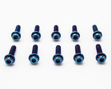 Burnt Titanium Intake Manifold Bolt Kit 12PT – M6 – VW / AUDI 1.8T - 10 pcs