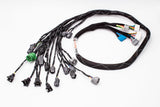 D & B-Series OBD1 Tucked Engine Harness Kit w/ Subharness | 94-95 Integra DC